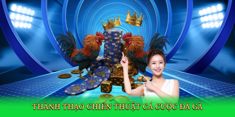 thanh-thao-chien-thuat-ca-cuoc-da-ga-4