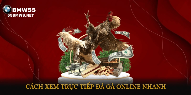 Cách xem trực tiếp đá gà online nhanh