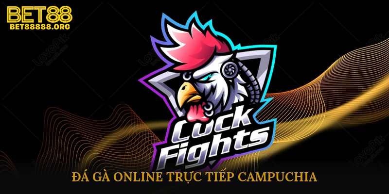 Đá gà online trực tiếp Campuchia