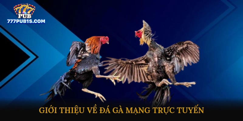 Giới thiệu về đá gà mạng trực tuyến