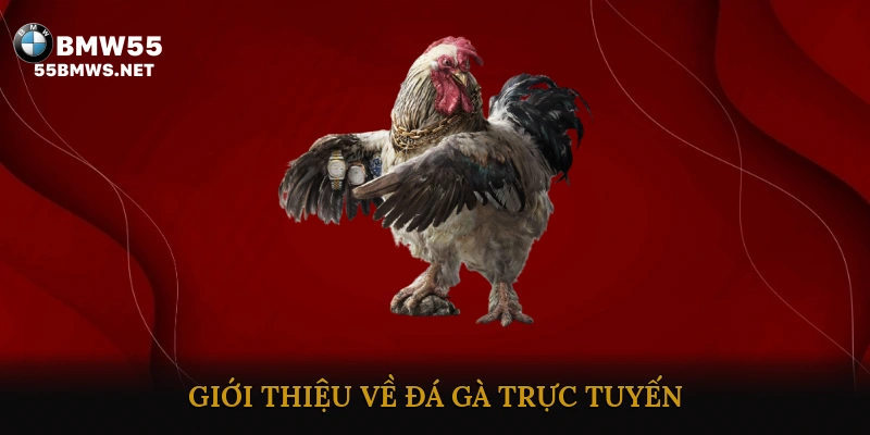 Giới thiệu về đá gà trực tuyến