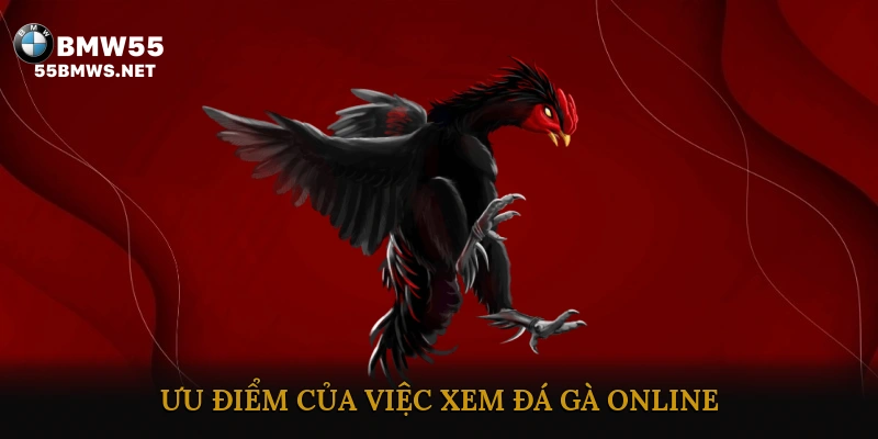 Ưu điểm của việc xem đá gà online