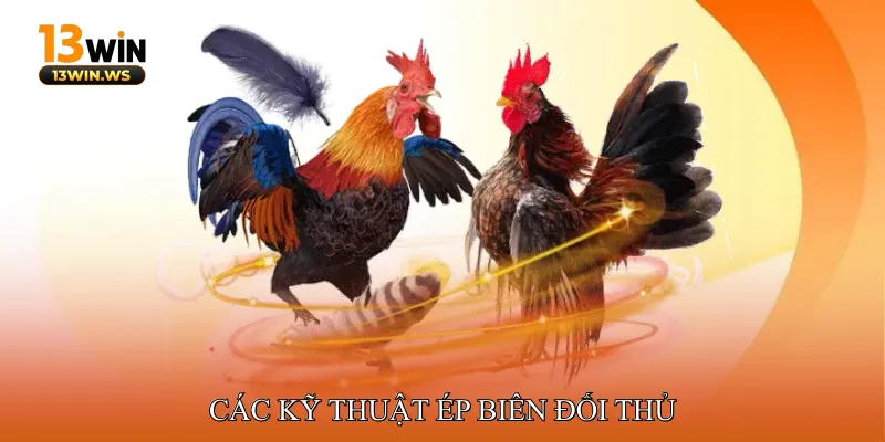 Các Kỹ Thuật Ép Biên Đối Thủ