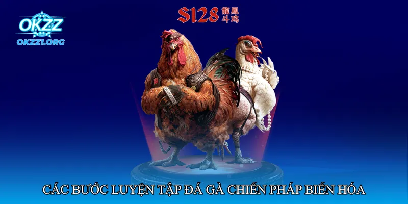 Các bước luyện tập đá gà chiến pháp biến hóa