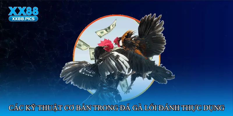 Các kỹ thuật cơ bản trong đá gà lối đánh thực dụng