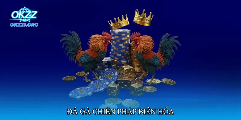 Đá gà chiến pháp biến hóa