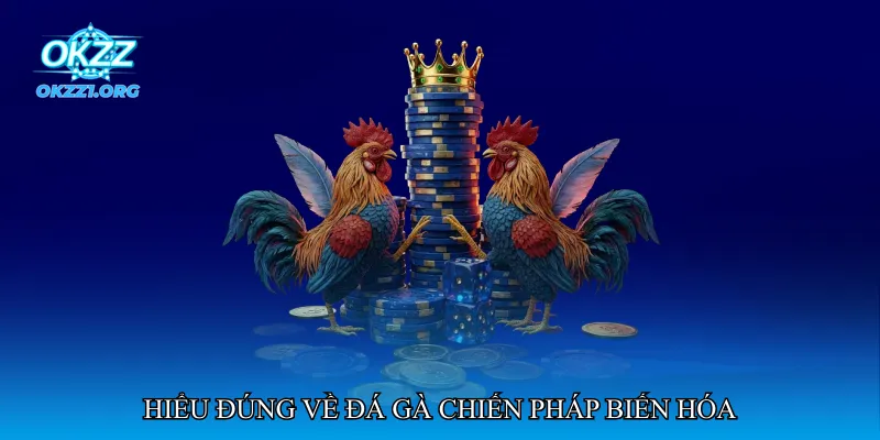 Hiểu đúng về đá gà chiến pháp biến hóa