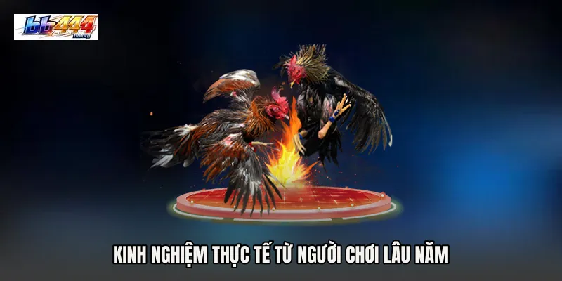 Kinh nghiệm thực tế từ người chơi lâu năm